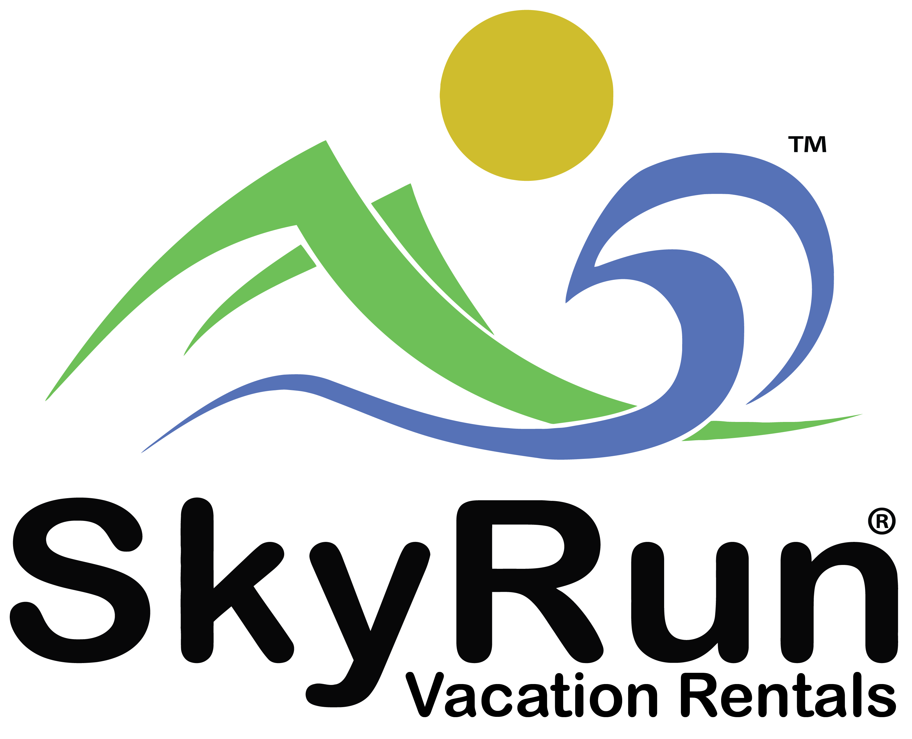 skyrun logo vertical original black